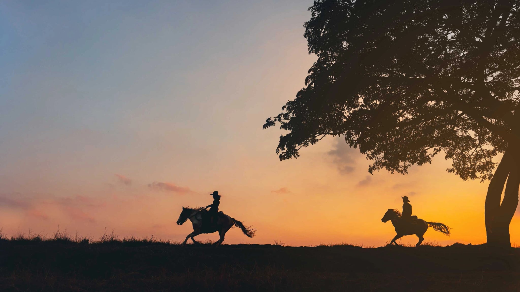 Term Insurance Plans