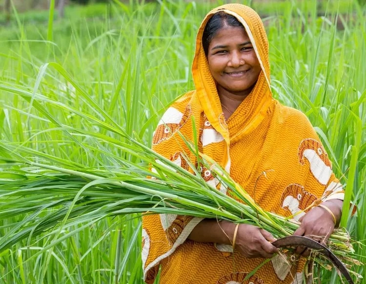 Term Life Insurance visual